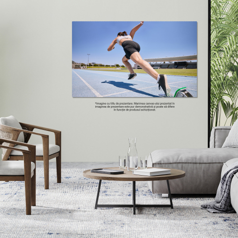 Tablou Canvas Start în Cursă: Alergători în Antrenament, Marime 40x25CM [3]