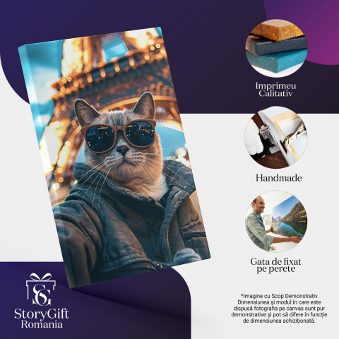 Tablou Canvas Pisica Elegantă în Paris cu Ochelari de Soare, Marime 40x25CM [1]