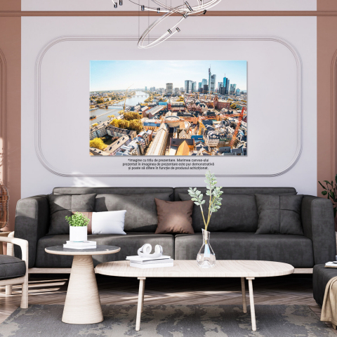 Vedere Aeriană a Frankfurtului Noaptea, Marime 40x25CM [2]