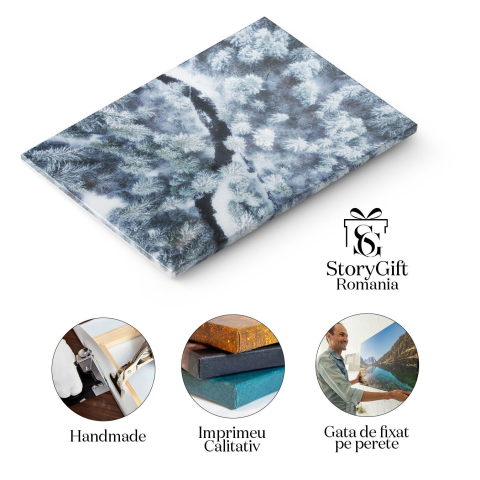 Tablou Canvas Vedere Aeriana la Padurea de Iarna si Raul Inghetat iarna, padure, aerian, rau, gheata 195 40x25CM [1]