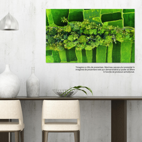 Vedere Aeriană a Pădurii Verzi cu Copaci și Câmp Colorat, Marime 40x25CM [2]