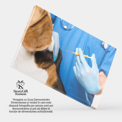 Tablou Canvas Veterinar in Halat Albastru Tinand Siringa Veterinar, Sanatate Animala, Control, Blana, Ingrijire 1287 40x25CM [3]
