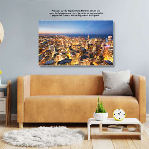 Tablou Canvas: Viziune aeriana asupra orasului Chicago, zgarnie-nori si centrul orasului in prim-plan la rasarit 40x25CM [2]