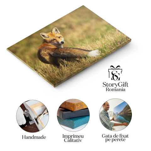 Tablou Canvas - Vulpea Rosie: Observand Soarele in Taramul Salbatic 40x25CM [1]