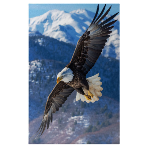 Păsări - Tablou Canvas:  Vultur plesuv la inaltime - in zbor munti zapada pasare pradatoare Pictura Digitala 40x25CM