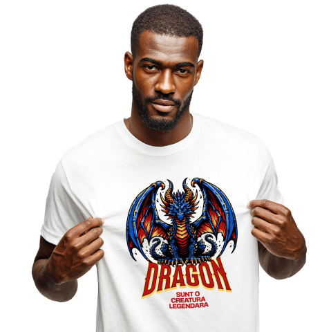 Basme Si Legende - Tricou Femei, Barbati, Copii, Fata, Baiat, Unisex Personalizat Costum Dragon Albastru Legendă - Creatură Din Jocuri Animate