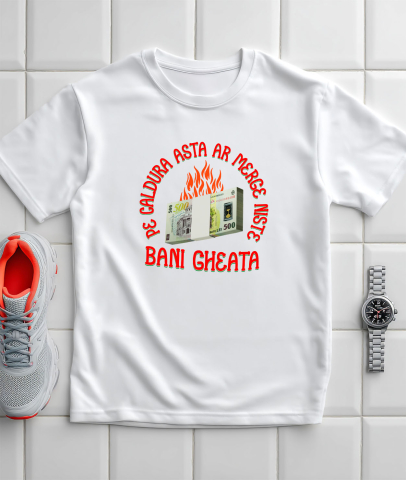 Tricou Femei, Barbati, Copii, Fata, Baiat, Unisex Personalizat Teanc de Bancnote 500 Lei – Bani Zburători în Flăcări pentru Distracție [2]