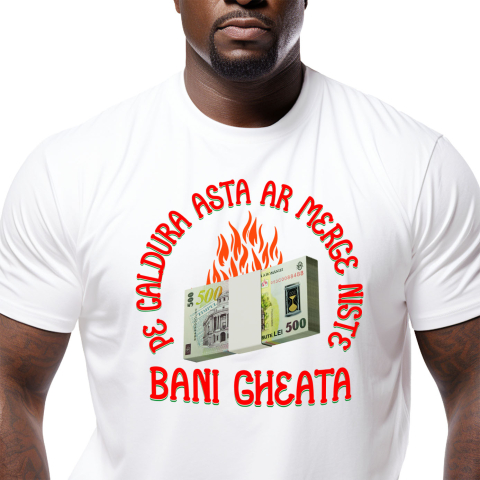 Tricou Femei, Barbati, Copii, Fata, Baiat, Unisex Personalizat Teanc de Bancnote 500 Lei – Bani Zburători în Flăcări pentru Distracție