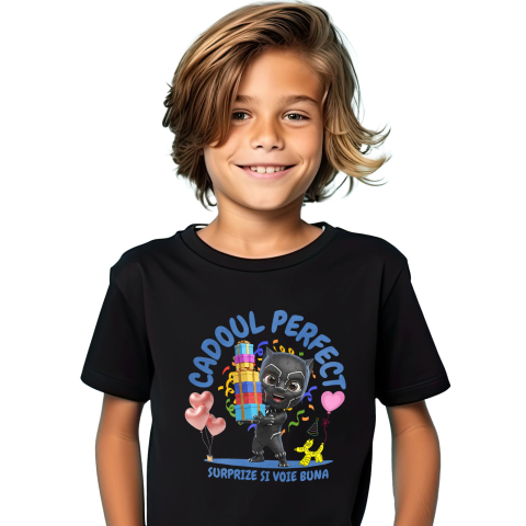 Desene Animate - Tricou Copii cu Pantera Neagra Cadou cu Inima de Erou 100% Bumbac, Negru, 12 Ani