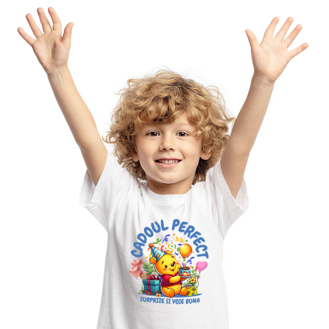 Aniversare - Tricou Copii cu Tort si Cadou Winnie – Surpriza Perfecta 100% Bumbac, Alb, 12 Ani