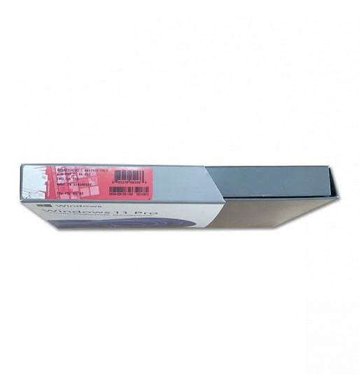 WINDOWS 11 PROFESSIONAL PE STICK USB ÎN CARCASĂ [3]