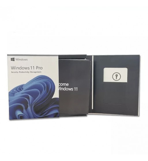 WINDOWS 11 PROFESSIONAL PE STICK USB ÎN CARCASĂ [5]
