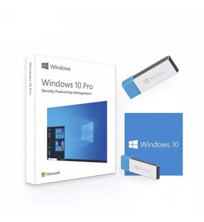 Acasa - Windows 10 Professional pe Stick USB în carcasă