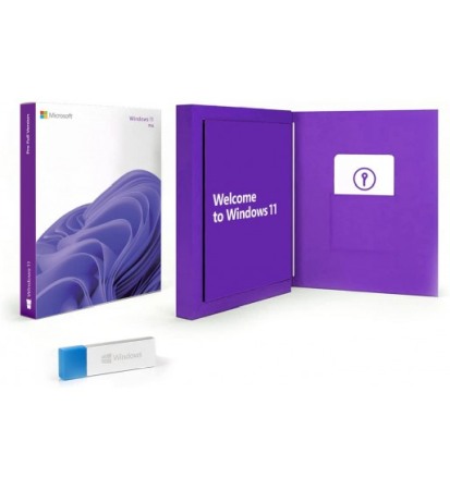 Acasa - WINDOWS 11 PROFESSIONAL PE STICK USB ÎN CARCASĂ