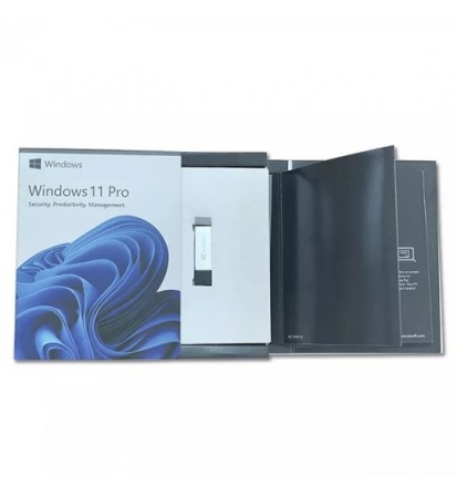 WINDOWS 11 PROFESSIONAL PE STICK USB ÎN CARCASĂ [1]