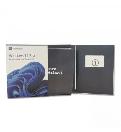WINDOWS 11 PROFESSIONAL PE STICK USB ÎN CARCASĂ [4]