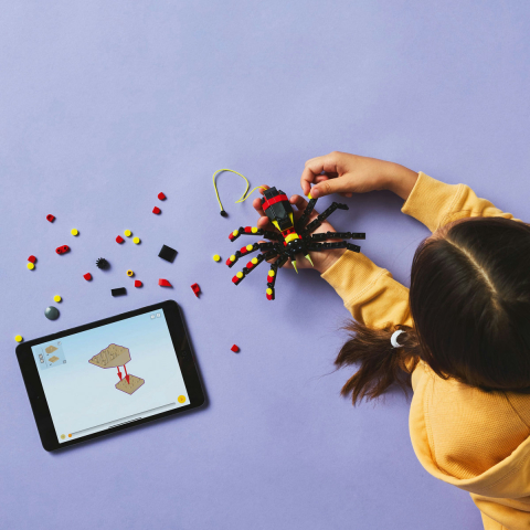 lego-creator-animale-salbatice-paianjen-surprinzator-31159-ani-7-piese-153 [5]