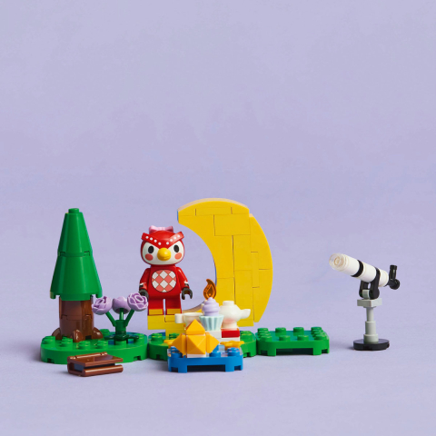 lego-animal-crossing-observarea-stelelor-celeste-77053-ani-6-piese-78 [7]