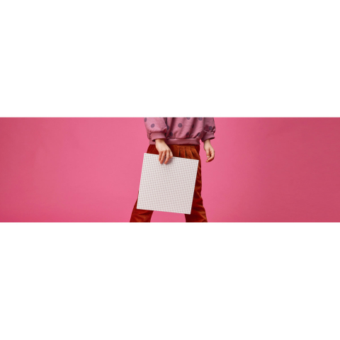 lego-classic-placa-baza-alba-11026-ani-4 [4]