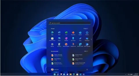 Windows 11 Professional, 64bit, ESD, Licenta permanenta [2]