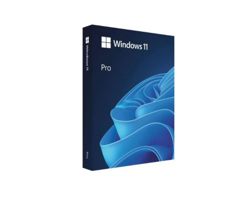 Microsoft Windows - Windows 11 Professional, 64bit, ESD, Licenta permanenta
