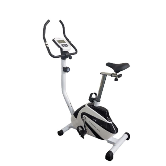 BICICLETA DE EXERCITII EVERFIT BFK 300 [2]