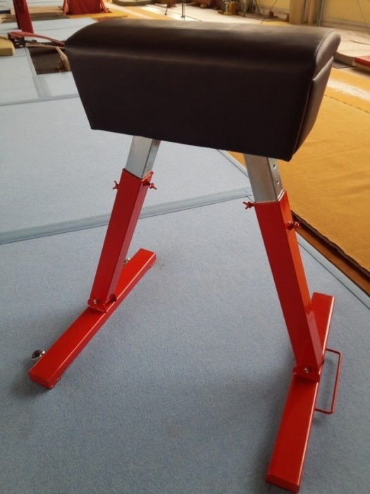 CAPRA PENTRU GIMNASTICA [2]
