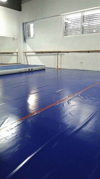 HUSA TIP PRELATA PT PROTECTIE TATAMI/SALTELE ARTE MARTIALE [4]