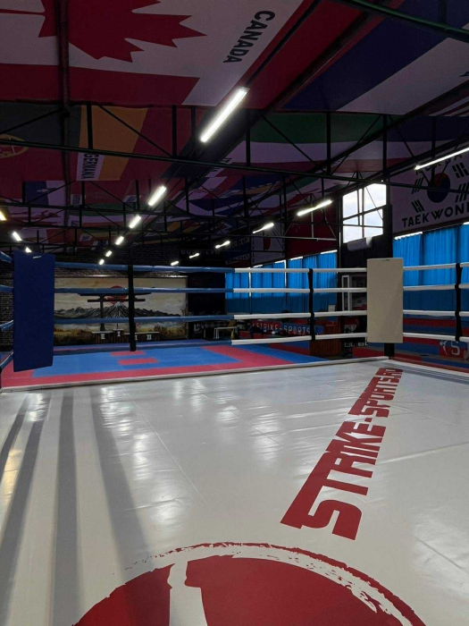 HUSA TIP PRELATA PT PROTECTIE TATAMI/SALTELE ARTE MARTIALE [8]