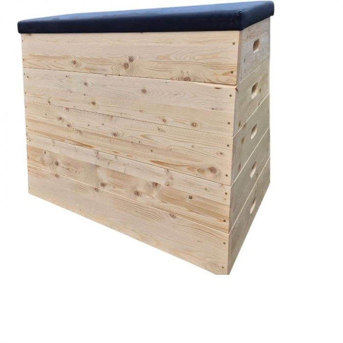 LADA GIMNASTICA SCOLARA  LEMN MASIV CU 5 MODULE-MODEL TRAPEZOIDAL [4]
