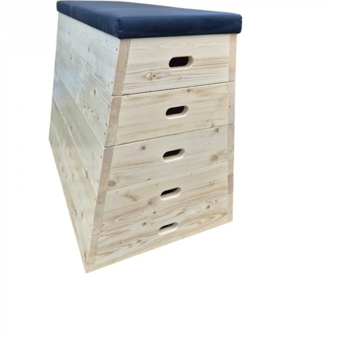 LADA GIMNASTICA SCOLARA  LEMN MASIV CU 5 MODULE-MODEL TRAPEZOIDAL [2]