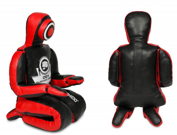 MANECHIN PT MMA SI BJJ [2]