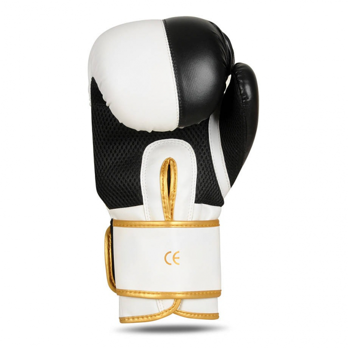 MANUSI BOX DBX UNDEFEATED [2]