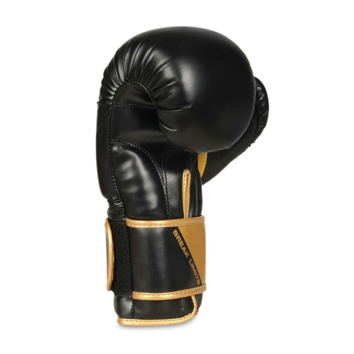 MANUSI BOX/SPARRING DBX BUSHIDO GOLDEN BOY [2]