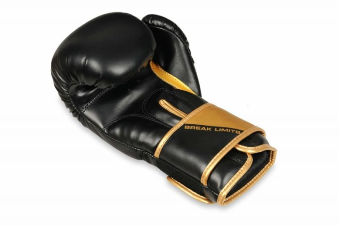 MANUSI BOX/SPARRING DBX BUSHIDO GOLDEN BOY [5]