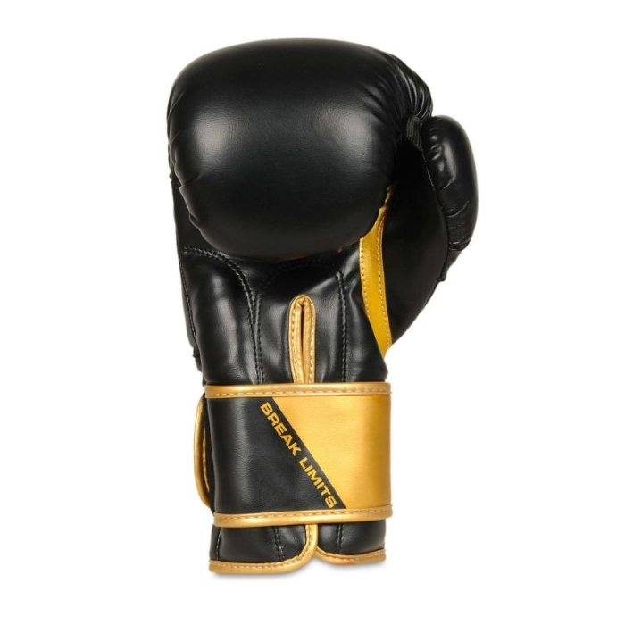 MANUSI BOX/SPARRING DBX BUSHIDO GOLDEN BOY [4]