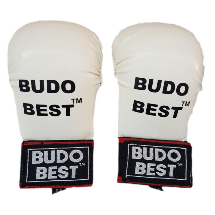 MANUSI KARATE WKF 2.0 BUDO BEST [2]