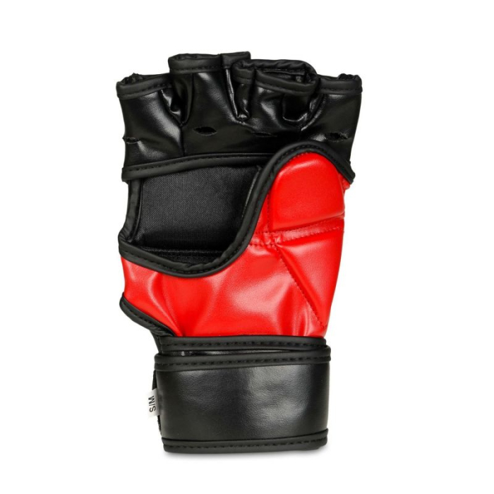 MANUSI MMA DBX BUSHIDO OCTOGON [2]