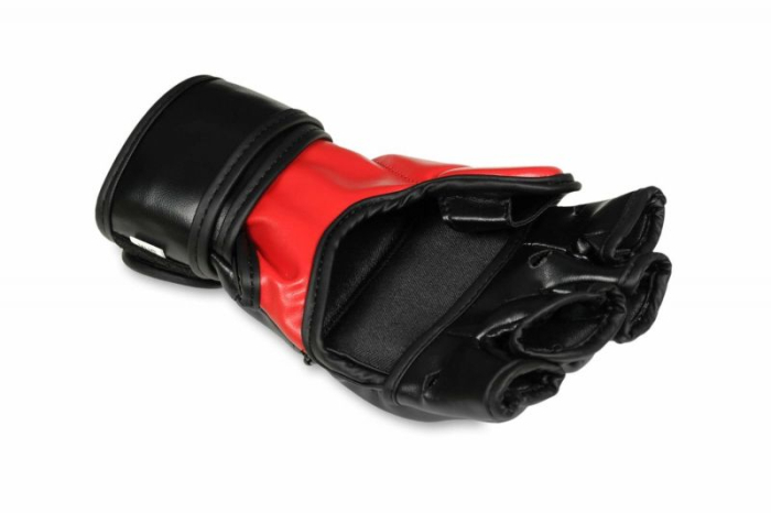 MANUSI MMA DBX BUSHIDO OCTOGON [4]