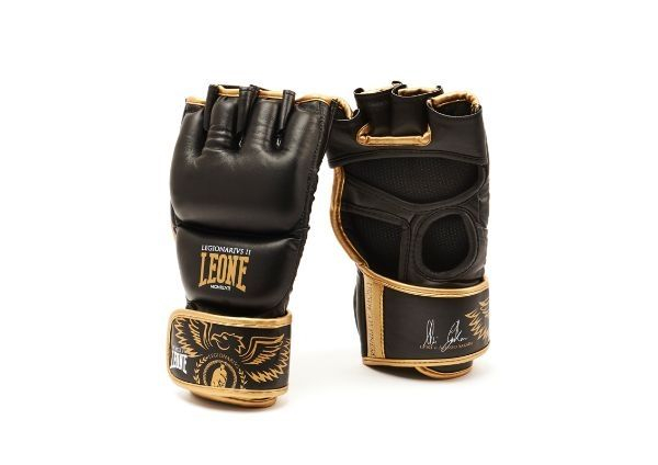 MANUSI MMA LEGIONARVUS II [2]