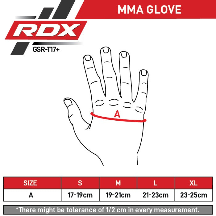 MANUSI MMA SPARRING/GRAPPLING T17 BLUE RDX [2]