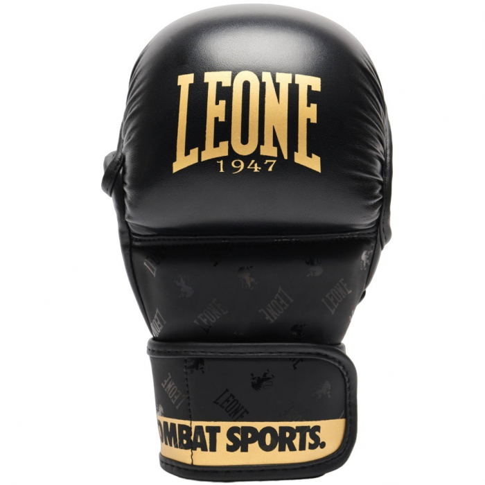 MANUSI MMA SPARRING LEONE DNA [3]