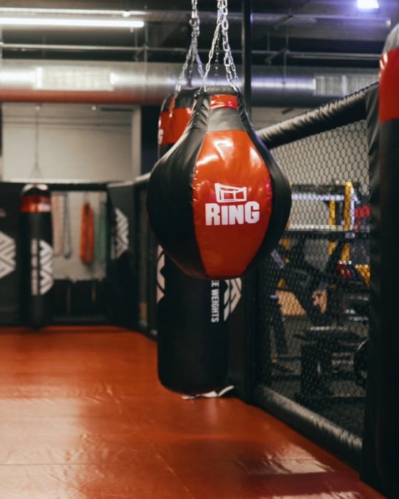 PANOURI TIP CUSCA MMA [6]