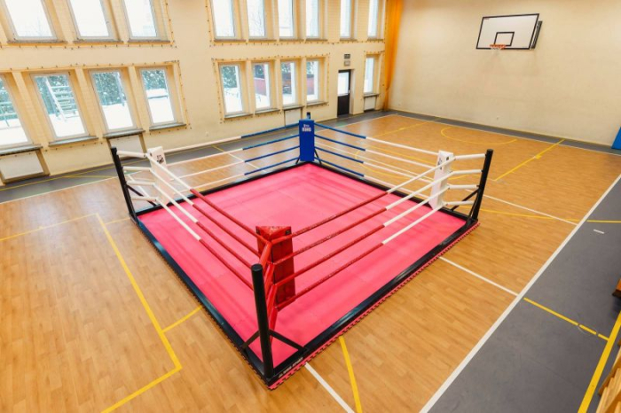 RING DE BOX PROFESIONAL LA PODEA 4x4m [3]