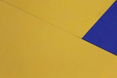 SALTEA JUDO TATAMI DELUXE 200X100X4CM [4]