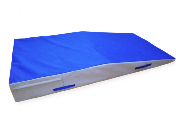 SALTEA PROIECTARI PT JUDO/LUPTE/SAMBO/MMA [3]