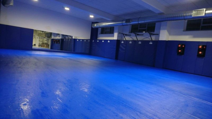 SALTELE PROTECTIE PERETE PT SPORTURI DE LUPTA SAU DE ECHIPA 200X100X5 CM [3]