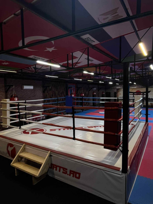 SET 4 PERNE COLT PT RING DE BOX 108x20x10 cm [3]