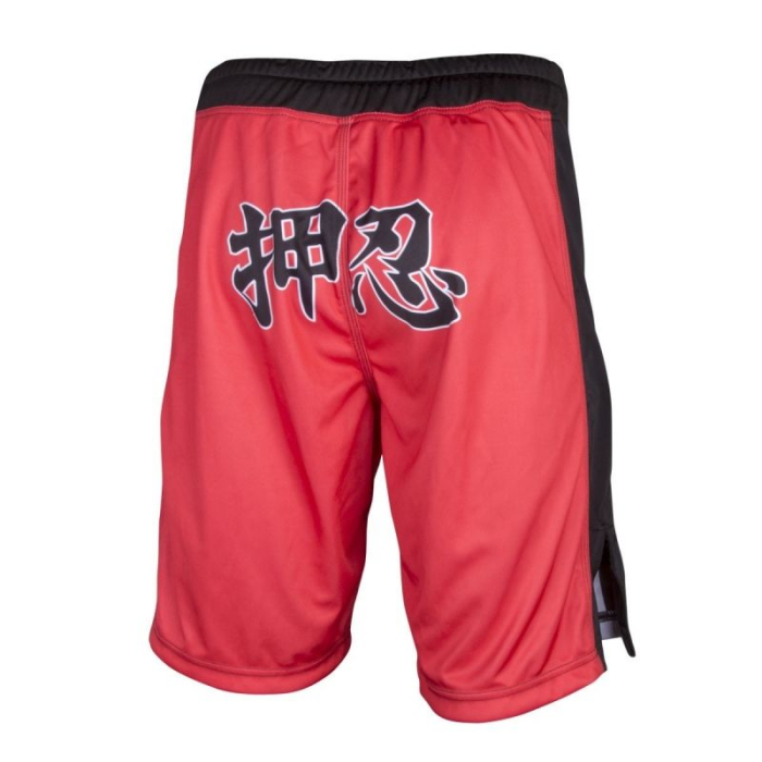 SHORT KYOKUSHIN KARATE  AKA [2]
