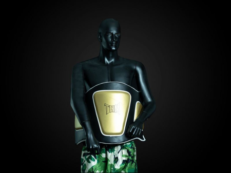 BURTIERA BOX/ARTE MARTIALE THM HEIST [1]